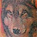 tattoo galleries/ - WOLF.